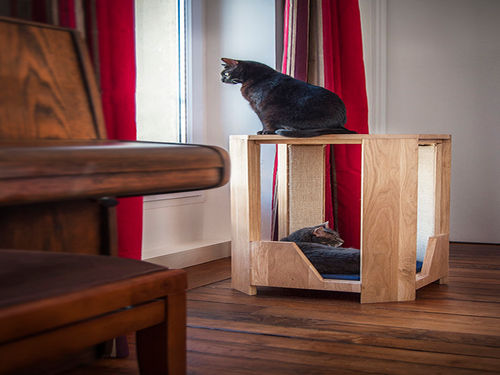 Kedi Severlerin Bayilacagi 17 Muthis Mobilya Onedio Com