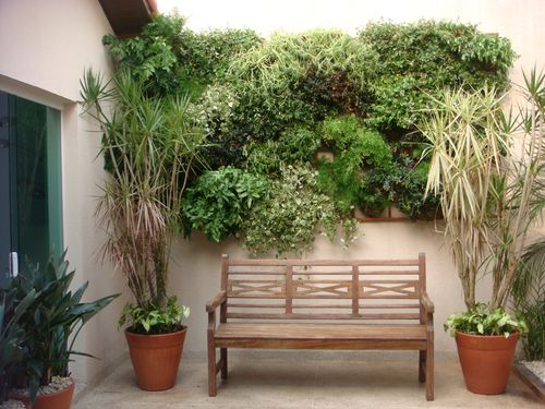 32 Ideias Para Decoração de Muros e Jardim Com Plantas de Que Gostam de Sol  | homify
