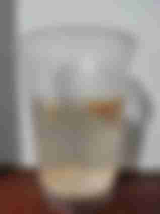 ピーマンを種から育てる方法 ピーマンの育て方９ステップ Diyガーデニング Homify