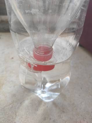 讓植物保持活力的最佳小秘方 植物自動澆水器 Homify