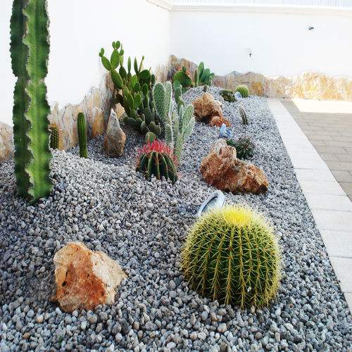 Piedras Decorativas Para Jardín. Lo mejor de las piedras