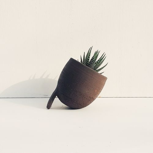 homify