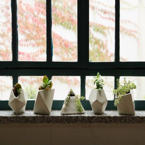 إصنع بنفسك أواني للزراعة المنزلية Homify