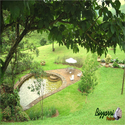 6 Modelos De Piscina Natural Para Decorar Seu Quintal Ou Jardim Homify
