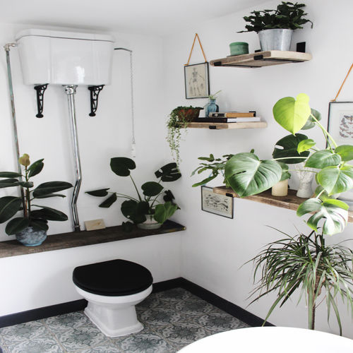 浴室に植物を飾ろう 癒しと安らぎのバスルームに Homify 浴室に植物を飾ろう 癒しと安らぎのバスルームに Homify