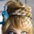 Catarina Furtado Avatar
