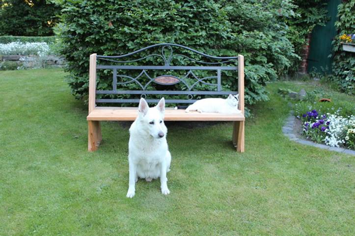 Step 2 garden sale bench