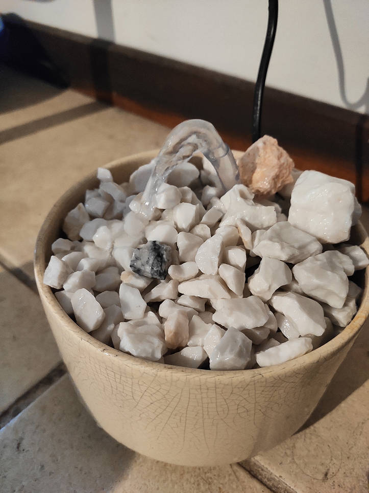 Diy pet clearance drinking fountain