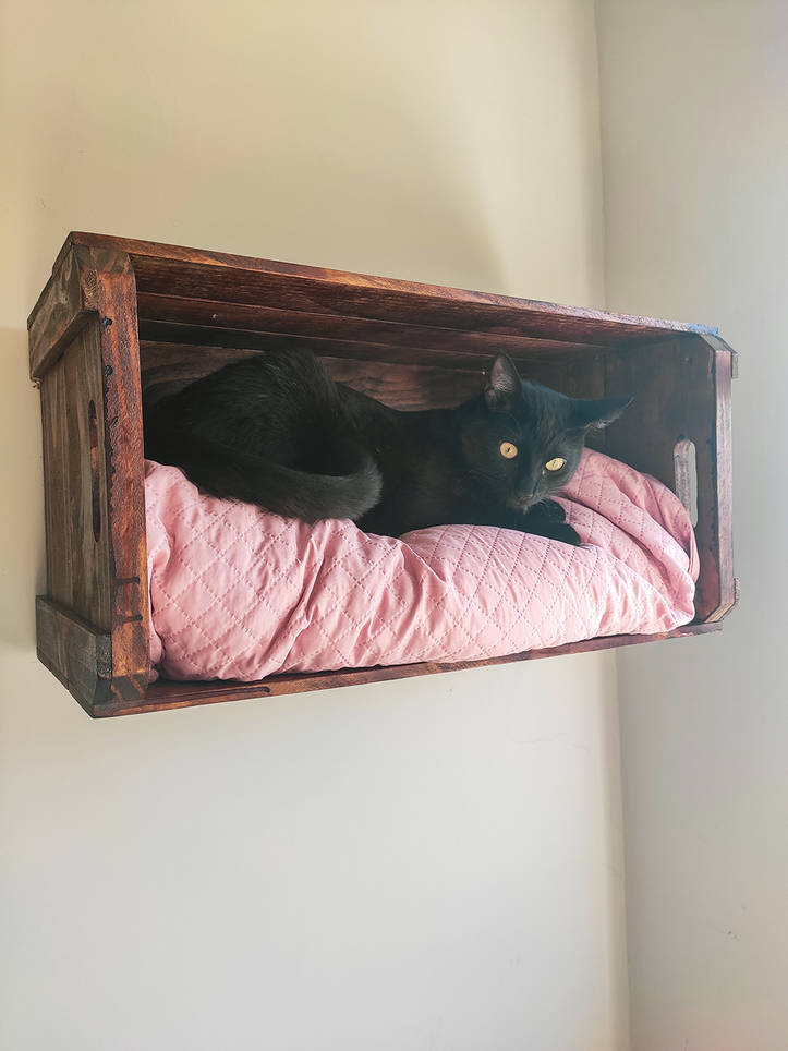 Cómo hacer una casa para gatos de madera? - DIY