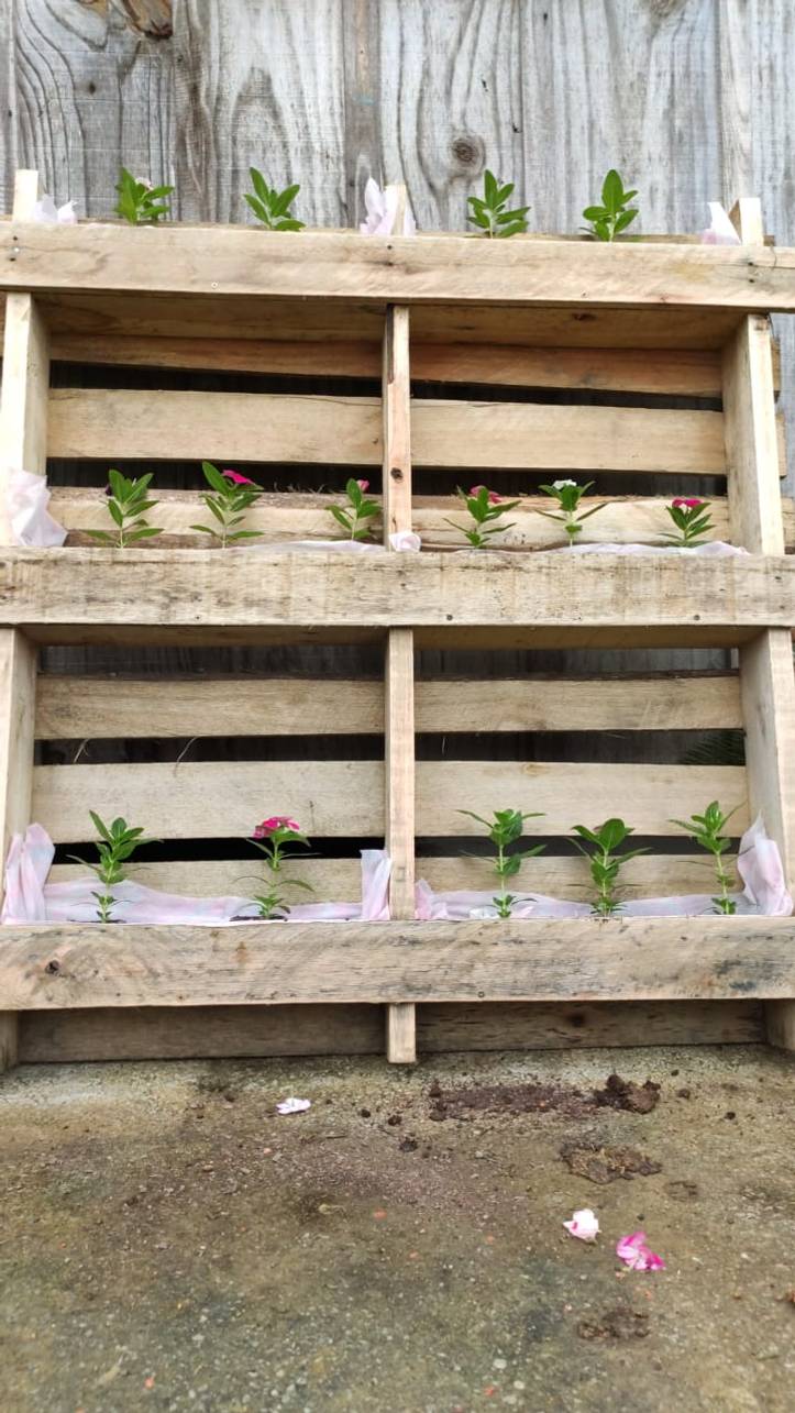 Horta em palete na parede: 10 ideias para cultivar verticalmente - Casa e  Jardim