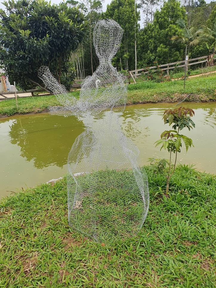 Chicken Wire Dragonfly, Garden Art Sculpture – Laura Ouimet/We-met Wire Work