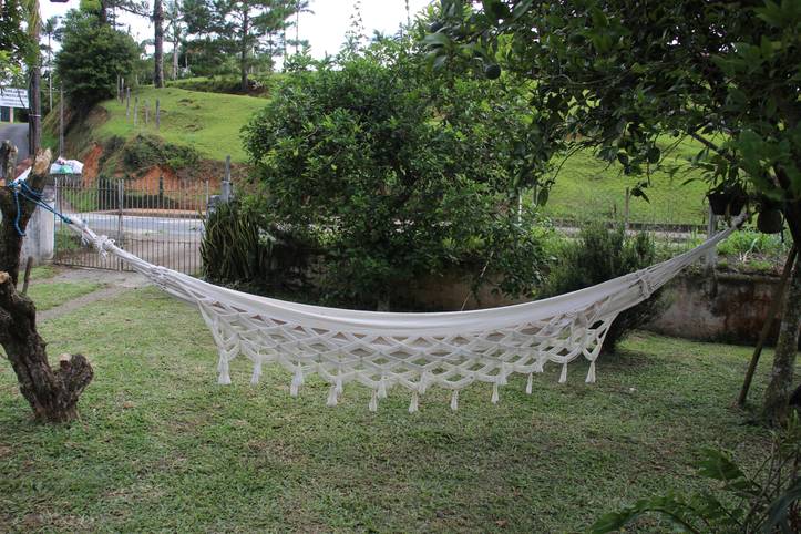 Hang hammock hotsell from tree branch
