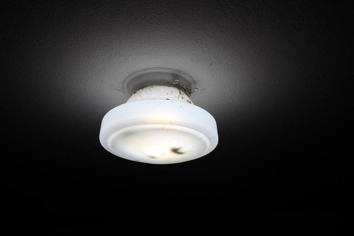 How to Get Rid of Flying Insects Attracted to Light 5 Different