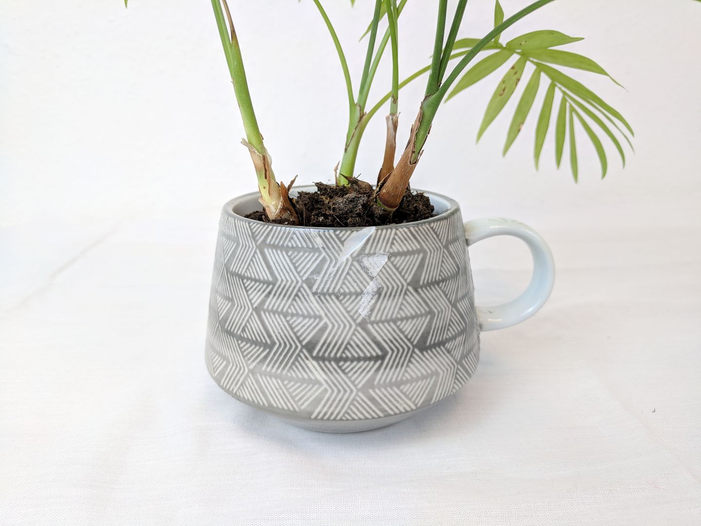 割れたカップを植木鉢として再利用！ | homify