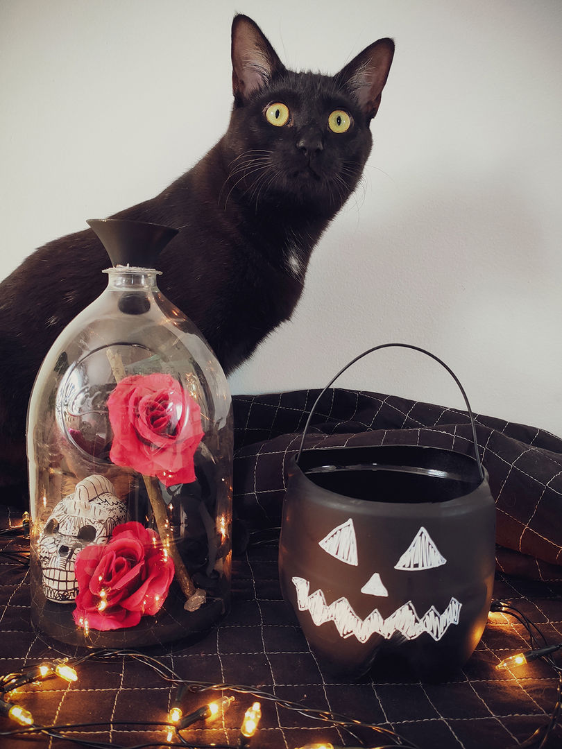 Cadılar bayramı aksesuarlarınızı düzenleyin