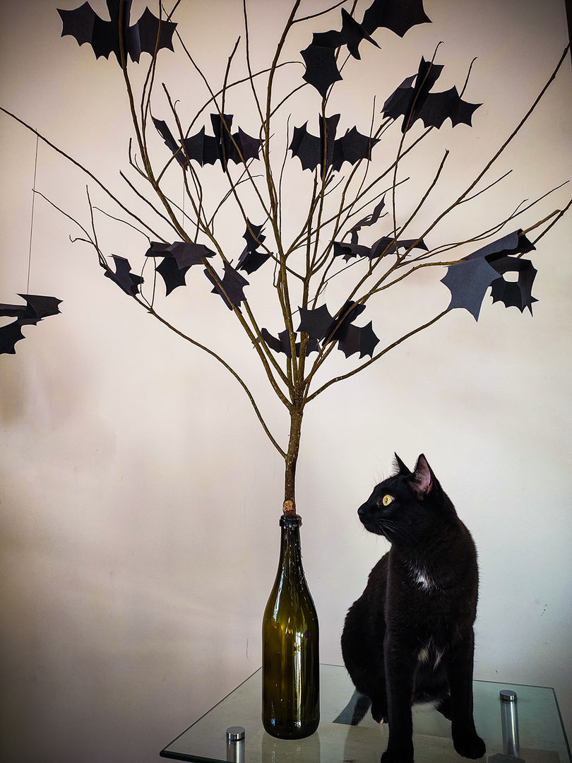 Yarasaları dallara yapıştırın 