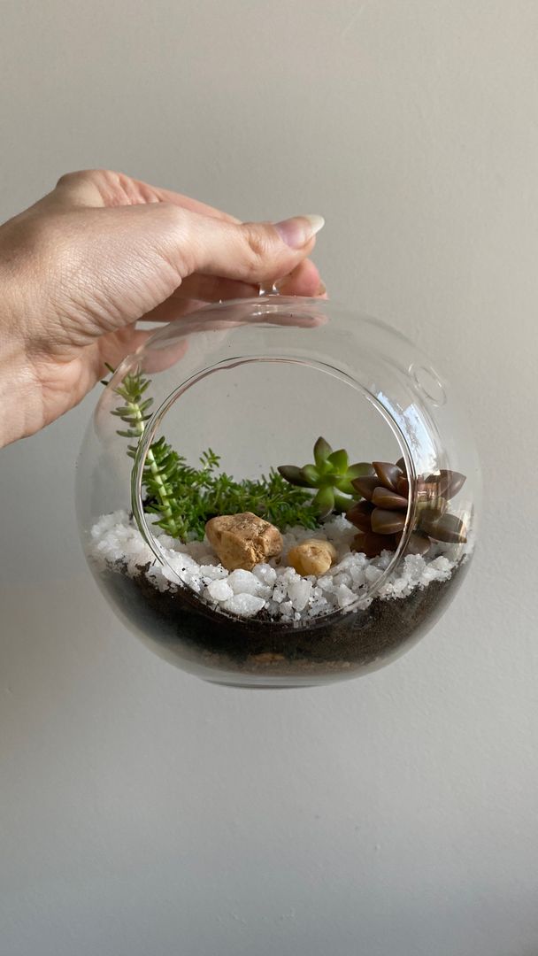 Step by Step: How To Make A Succulent Terrarium {DIY Decor} | homify