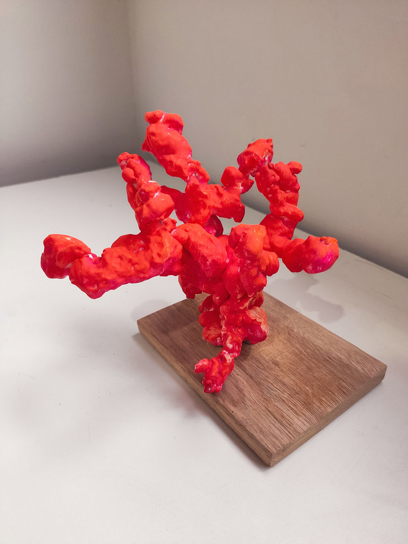 Akvaryum süsünüz ya da ev dekorunuz hazır! 