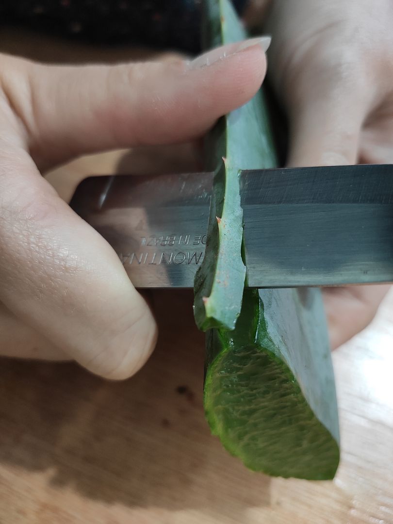 En yi Kk Hormonu] Bitki Kklendirmek in Aloe Vera Jel Yapm | homify