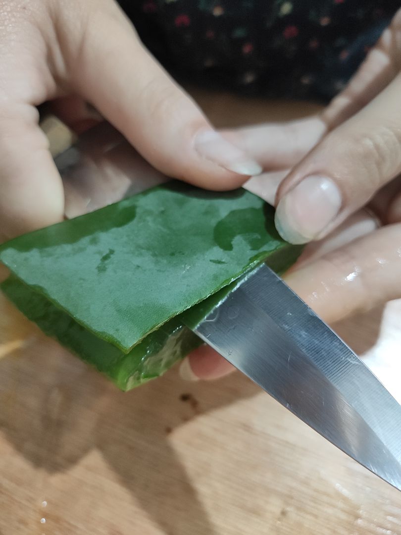 En yi Kk Hormonu] Bitki Kklendirmek in Aloe Vera Jel Yapm | homify