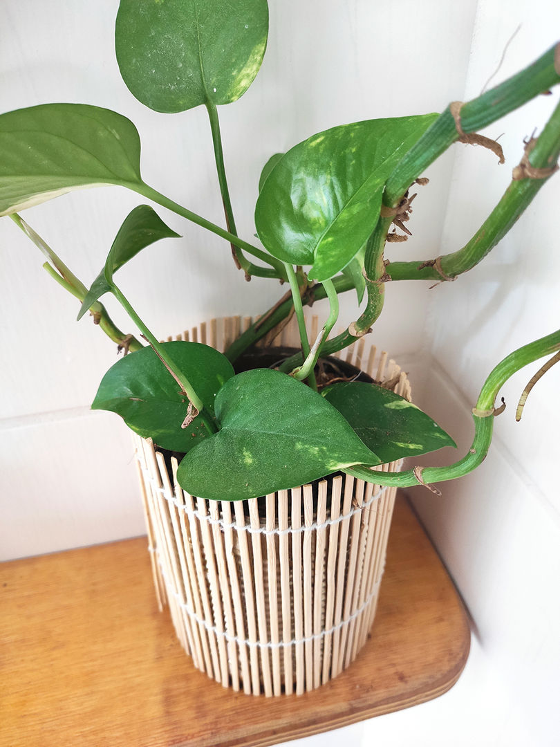 How to Make Decorative Plant Pot Covers DIY Plant Pot Ideas (4 Steps