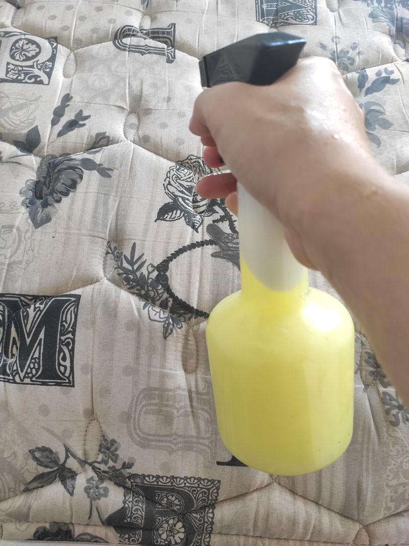 Disinfetta e pulisci il tuo materasso senza spendere troppo: scopri come  preparare uno spray fai-da-te 