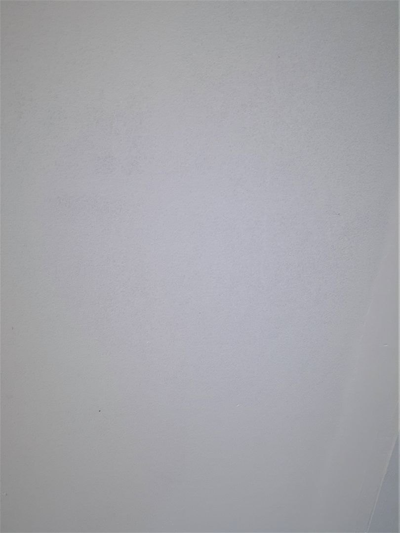 How can you Paint Plasterboard like a Pro in 6 Easy Steps homify