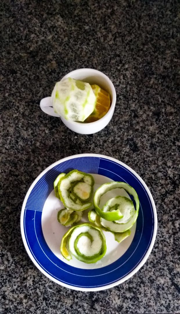 The 2 Best Homemade Dog Repellents for your Home and Garden homify