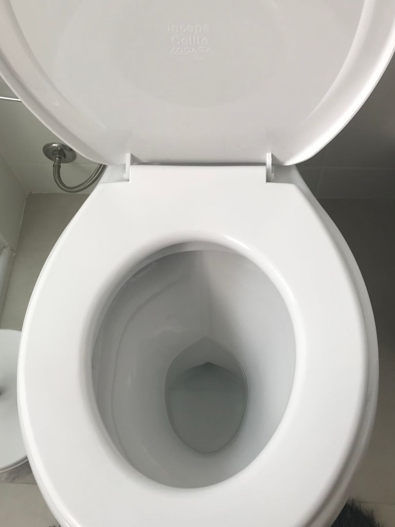 5 Step By Step Guide On How to Replace Toilet Seat homify