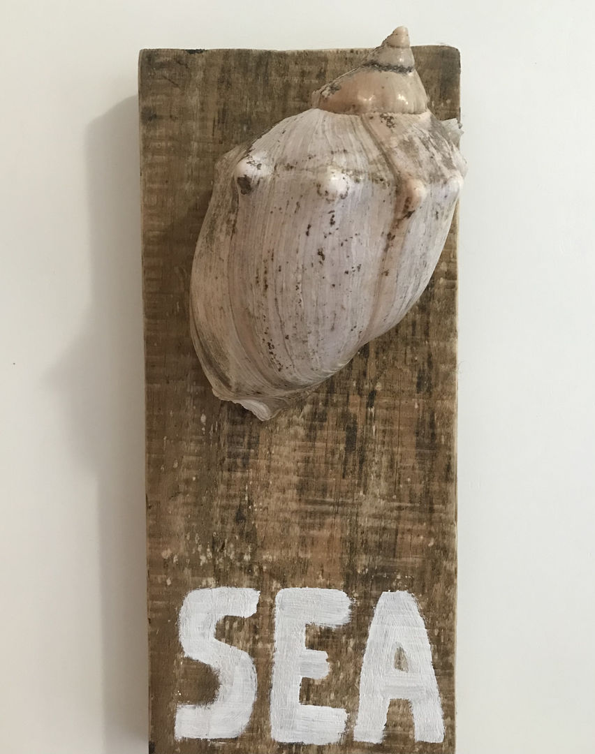 7 DIY Seashell Décor Ideas To Create Art On Your Wall homify