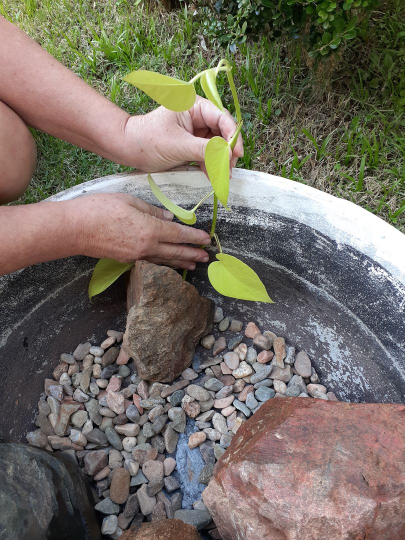 Come Costruire un Laghetto per i Pesci da Giardino Fai da te in 9 Facili  Passi