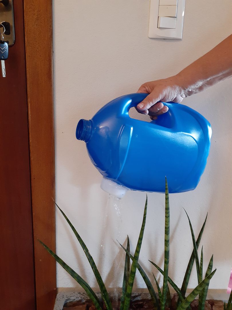 Cómo hacer un sistema de riego por goteo ecológico con una botella  reciclada 