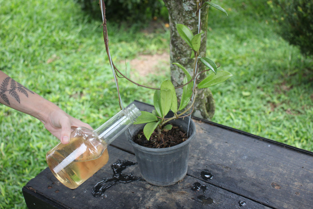 Fiudx Marco para Trepar Plantas, Diseño Robusto de Hierro Metálico Fiudx Marco para Trepar Plantas, Diseño Robusto de Hierro Metálico