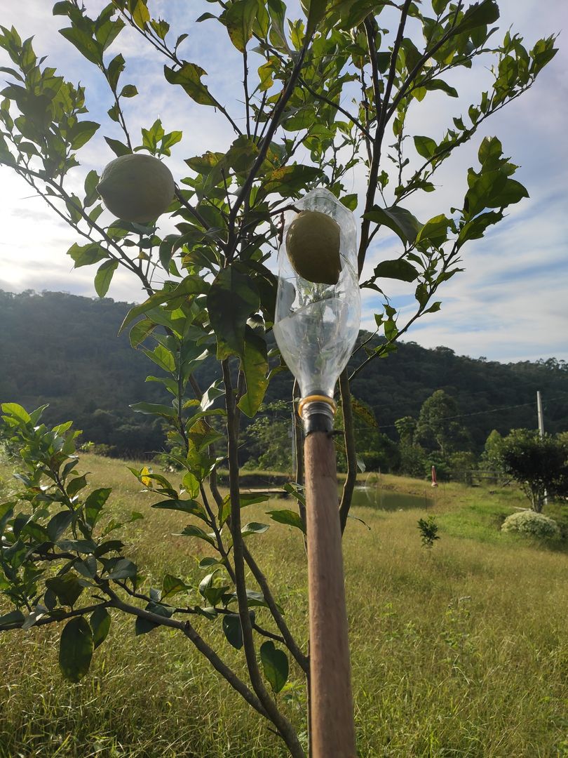 Como Hacer un Recolector de Frutas