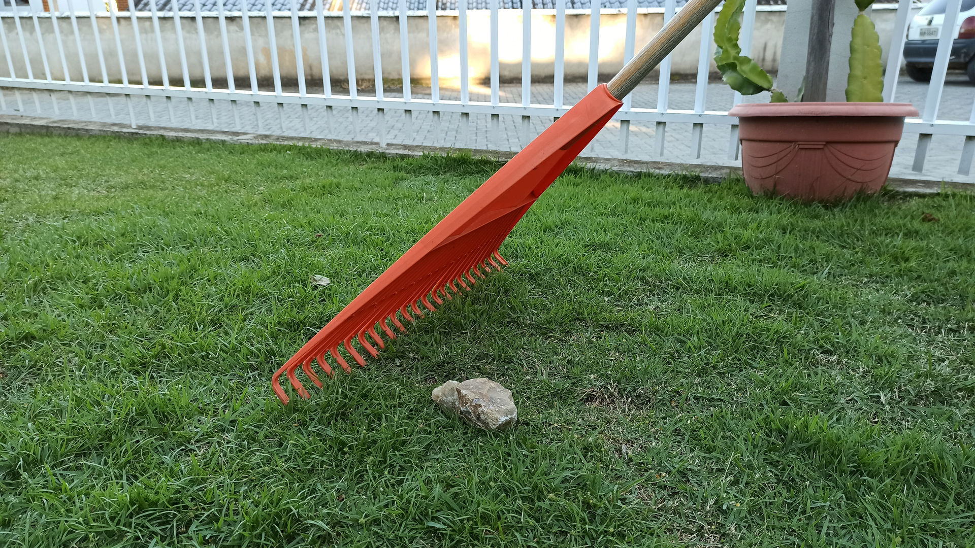 Guía FÁCIL de TIJERAS DE PODA  jardín para principiantes ✂️🌳🏡 