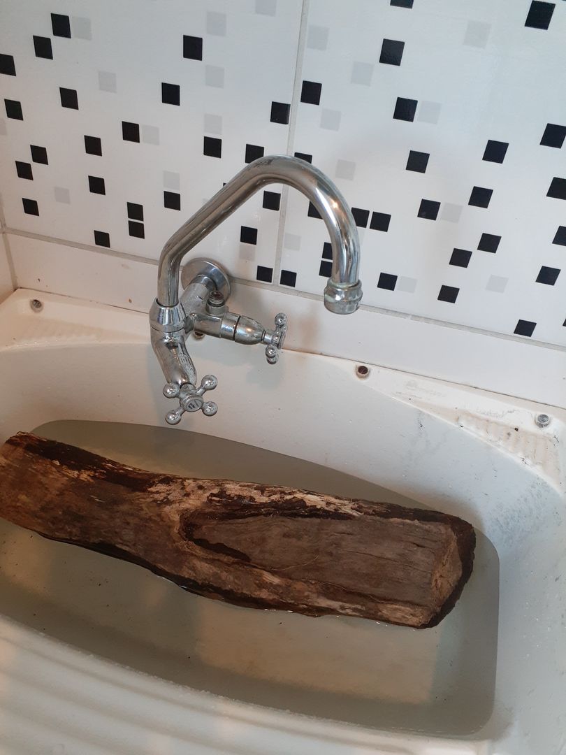 Adım 3: Dalgaların karaya attığı odunları alın ve karışımda yıkayın.