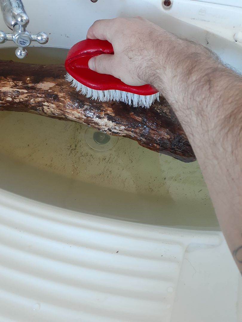 Adım 5: Fazla kiri fırçalayın.