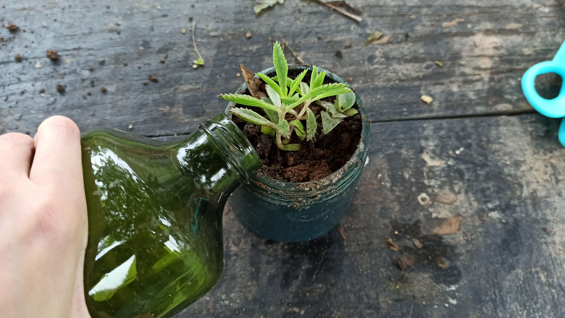 Diy Jardinagem Como Fazer Manta De Drenagem Para Vasos Em Passos Homify