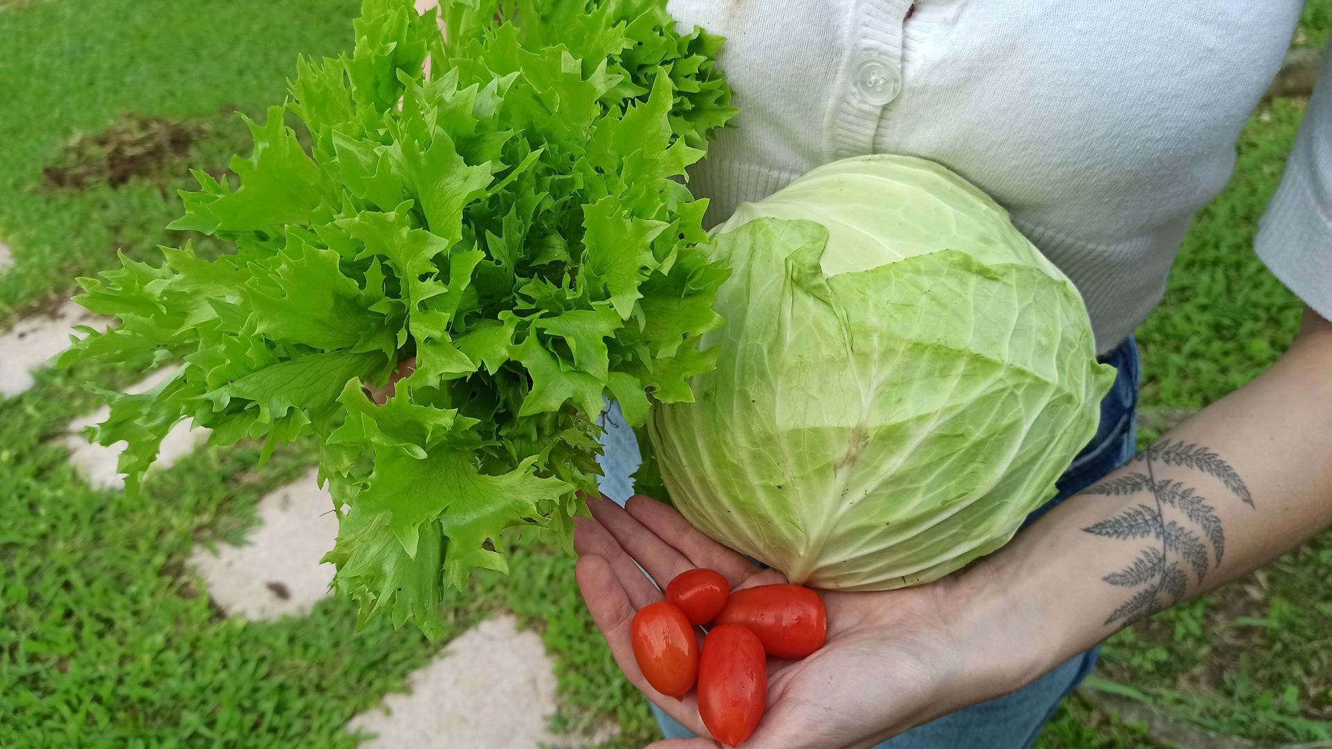 How To Harvest Vegetables 4 Ways Of Harvesting homify