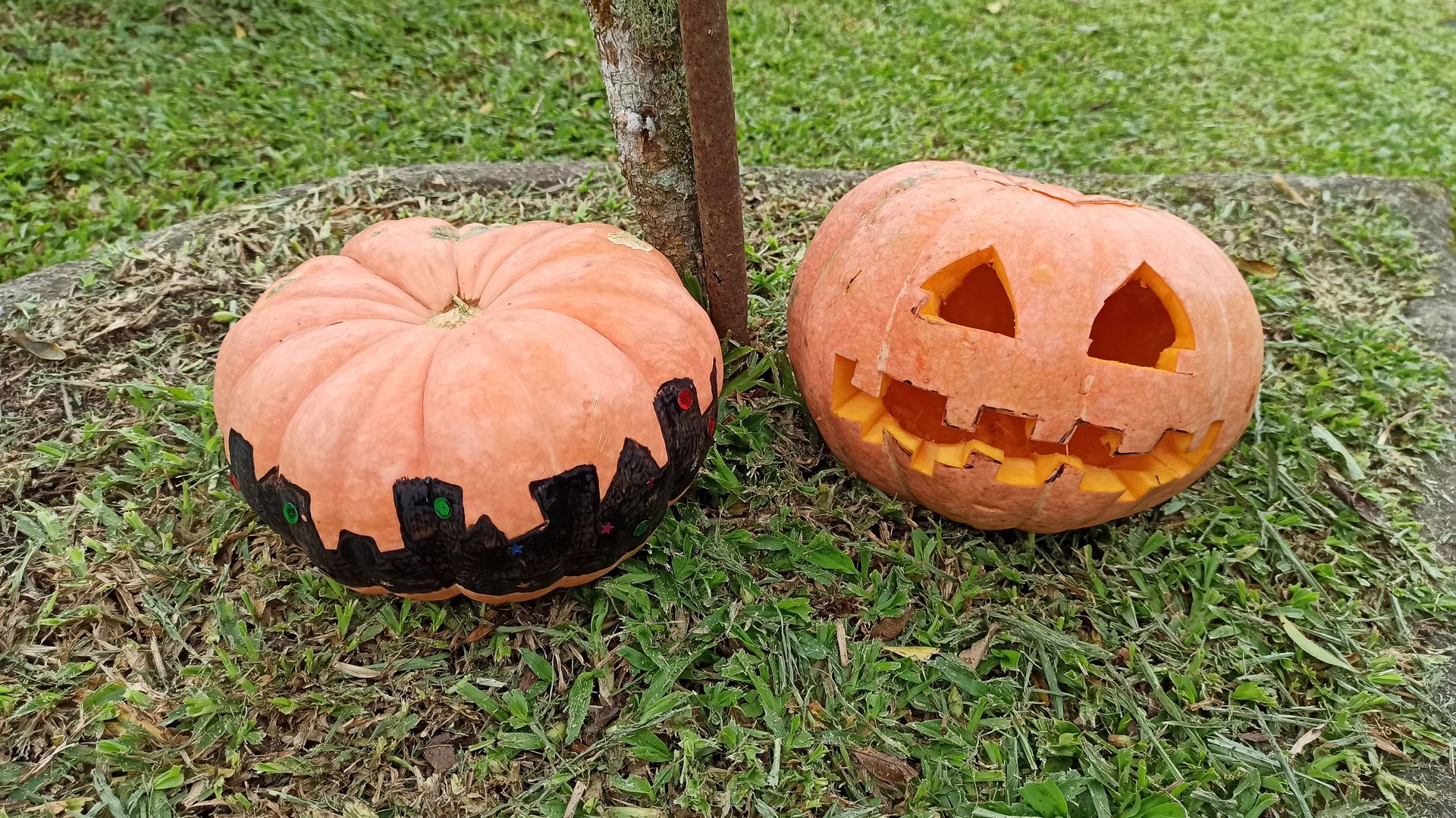 discover-how-to-preserve-a-carved-pumpkin-in-8-steps-homify