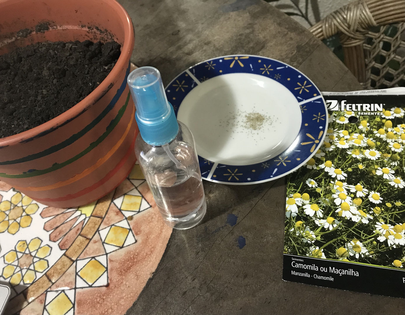 12 consigli indispensabili su come piantare la camomilla dai semi in  giardino