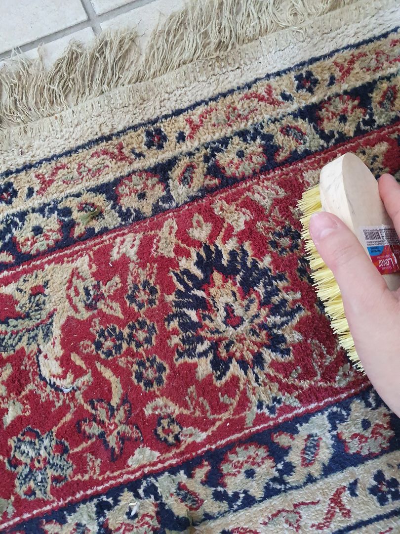 Come pulire un tappeto persiano a casa con un facile tutorial in 8 passi