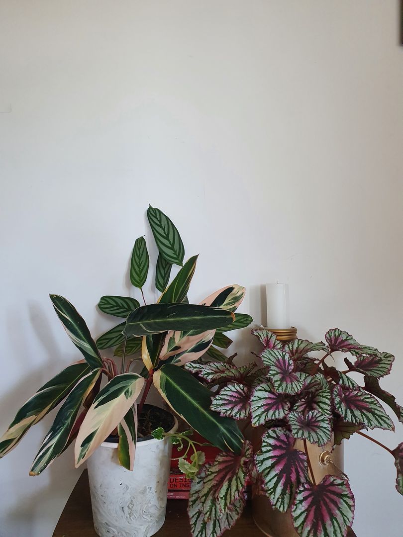 Simple 9Steps DIY Guide on How to Remove Wine Stains from Wall homify