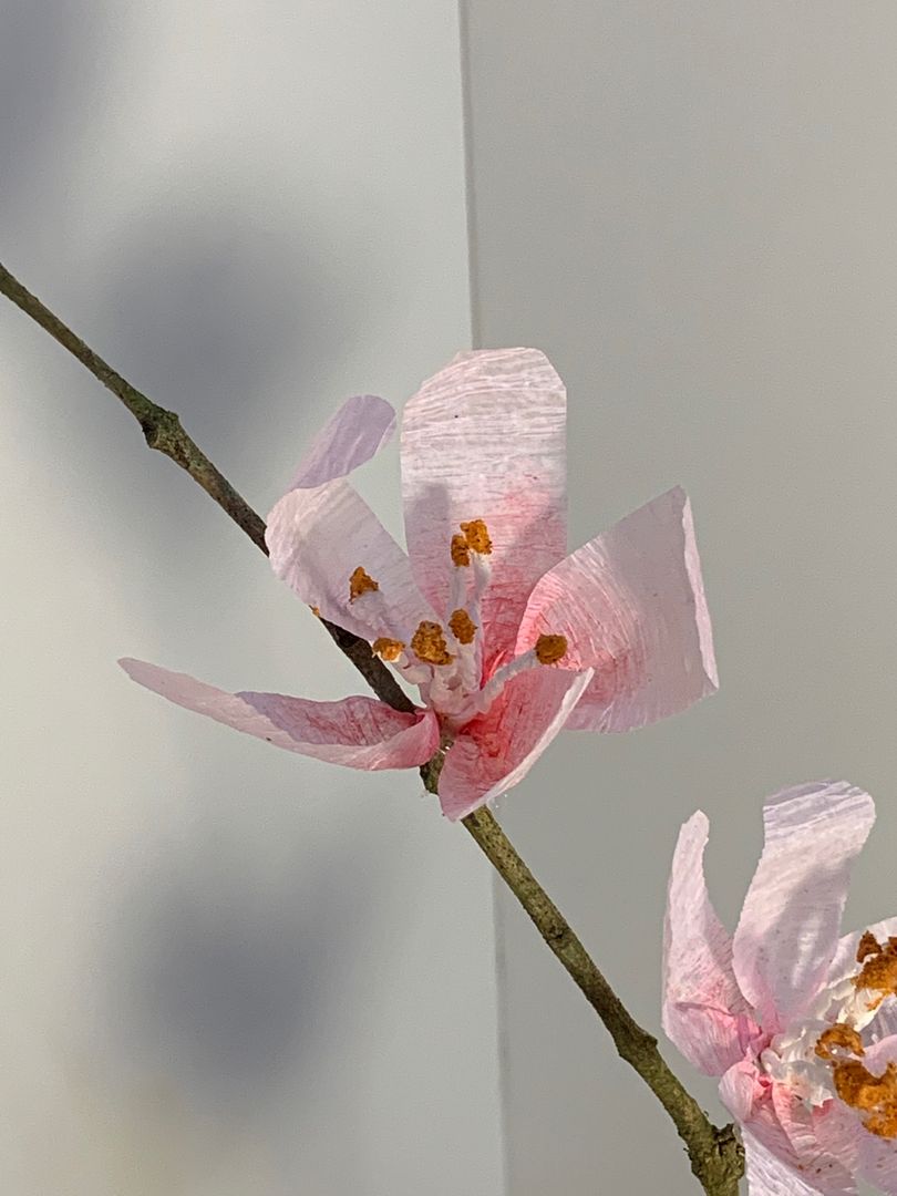 Como Fazer Uma CASA USANDO A NOVA MEDEIRA DE CEREJEIRA DO