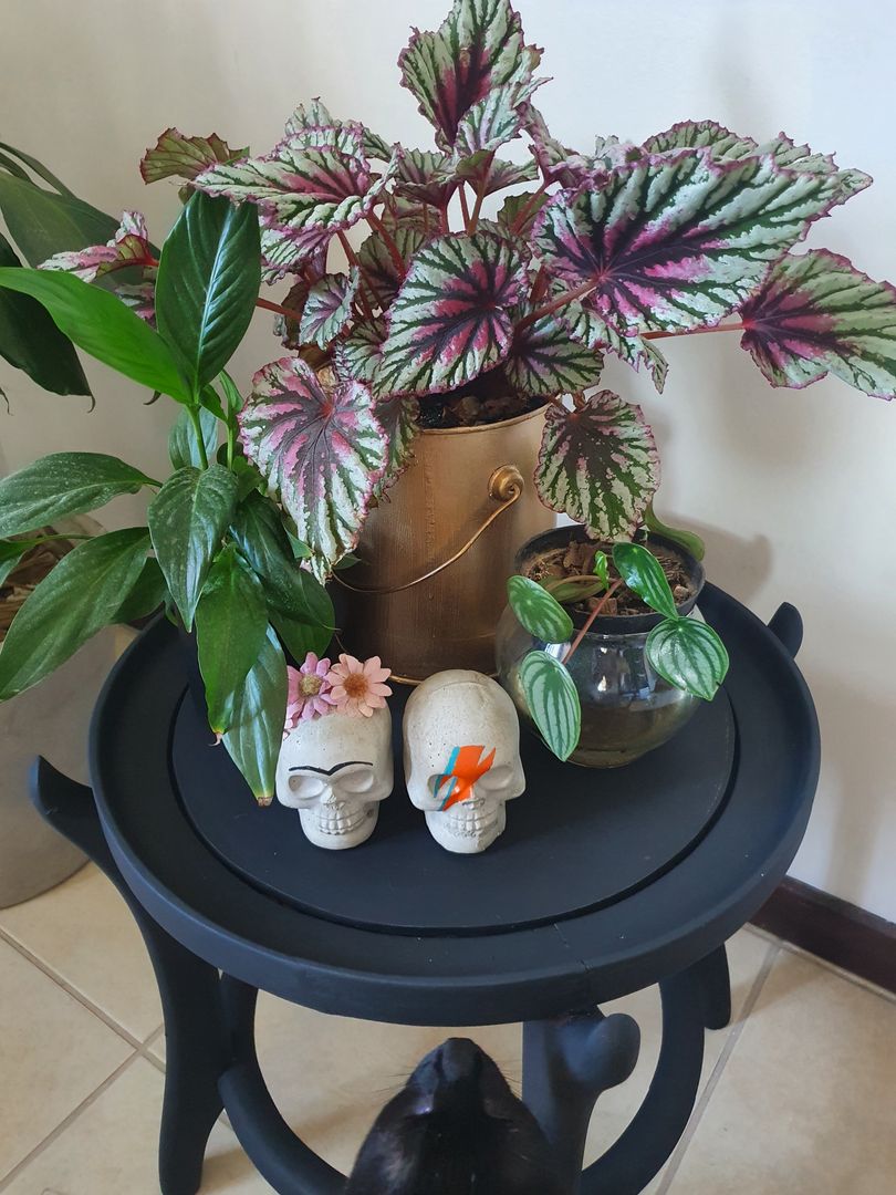 Adım 9: Dekorasyonlu Resim