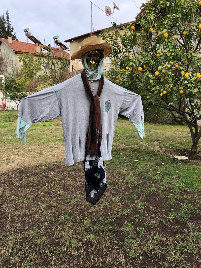 How To Make A Scarecrow In 20 Simple Steps | homify