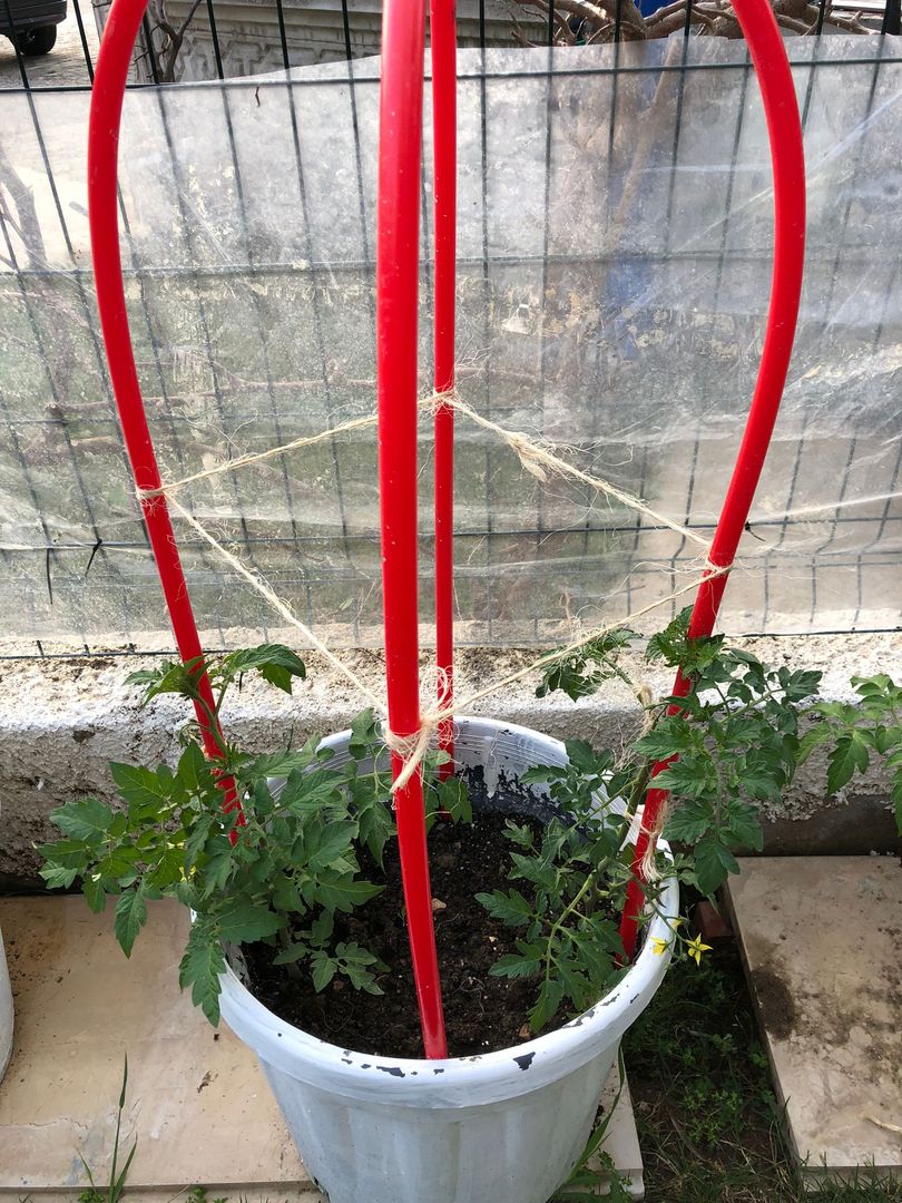 DIY Tomato Cages How to Make a Tomato Cage in 13 Easy Steps homify