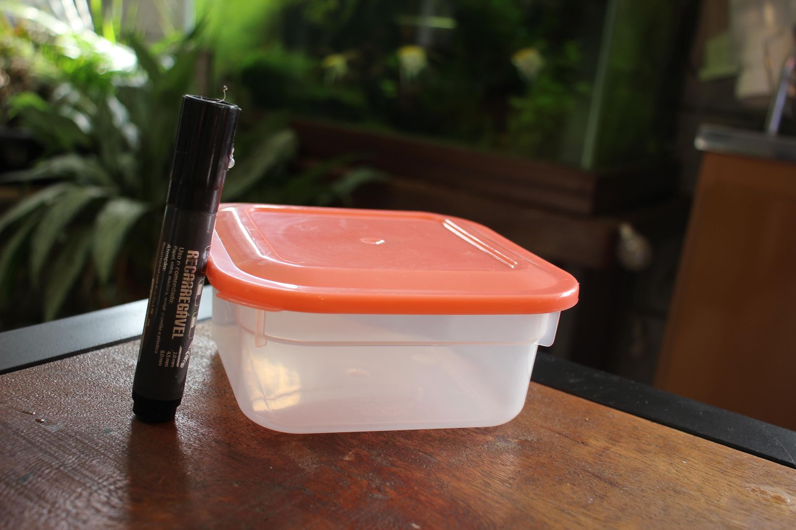 Learn How to Remove Permanent Marker from Plastic In 7 Steps homify