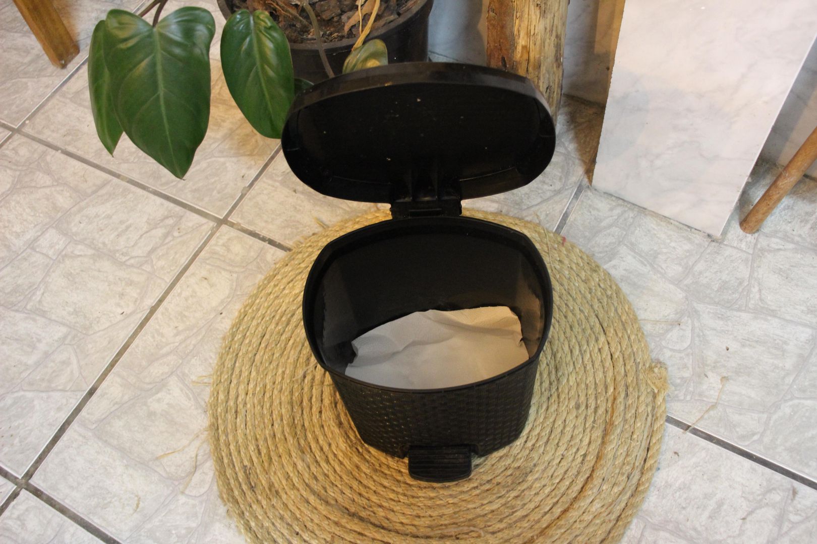 How to Deodorize Trash Can l Easy DIY Ways to Deodorize Trash Bin in 7