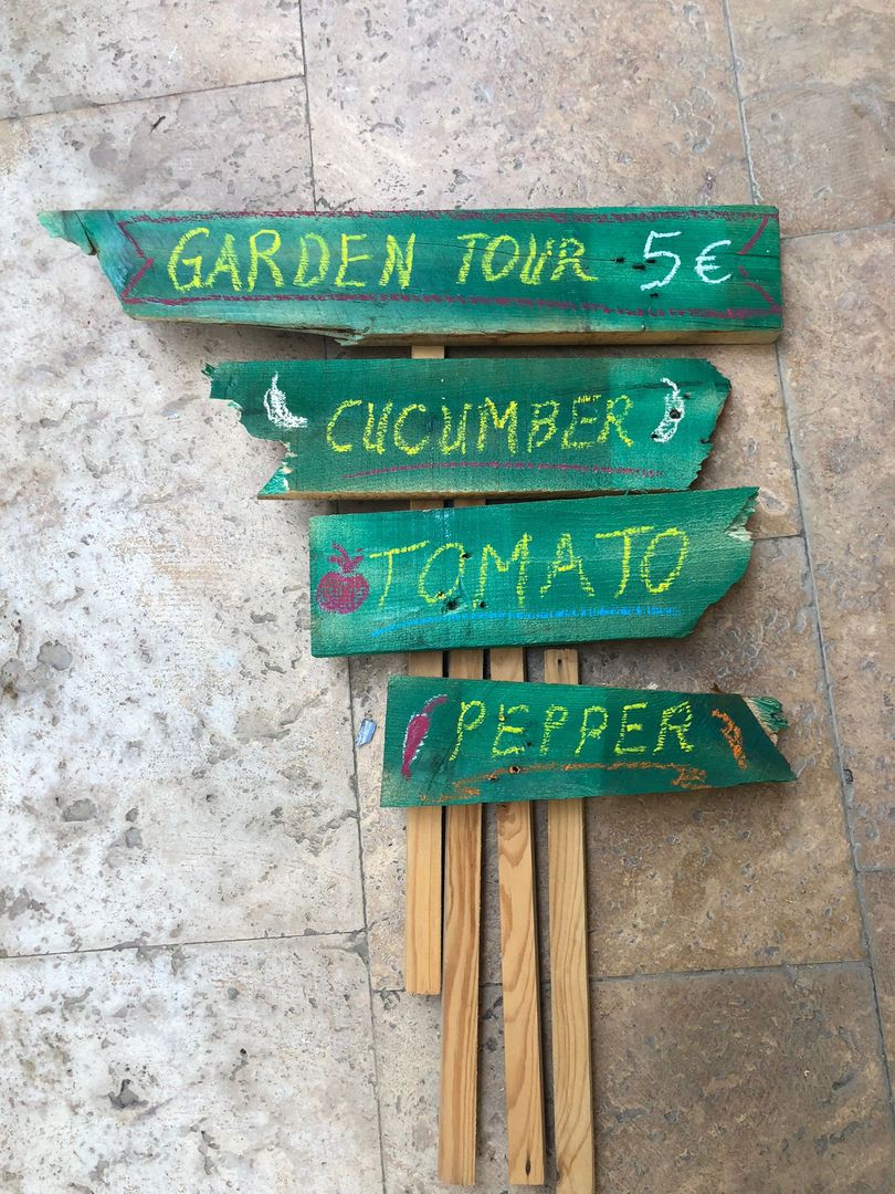 Letrero De Jardín "Sin Traspaso" - Cartel Decorativo Con Forma De Flor Verde - Plástico Resistente (DukeZaDaisy)
